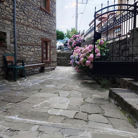 Arka Metsovo Hotell Exteriör bild