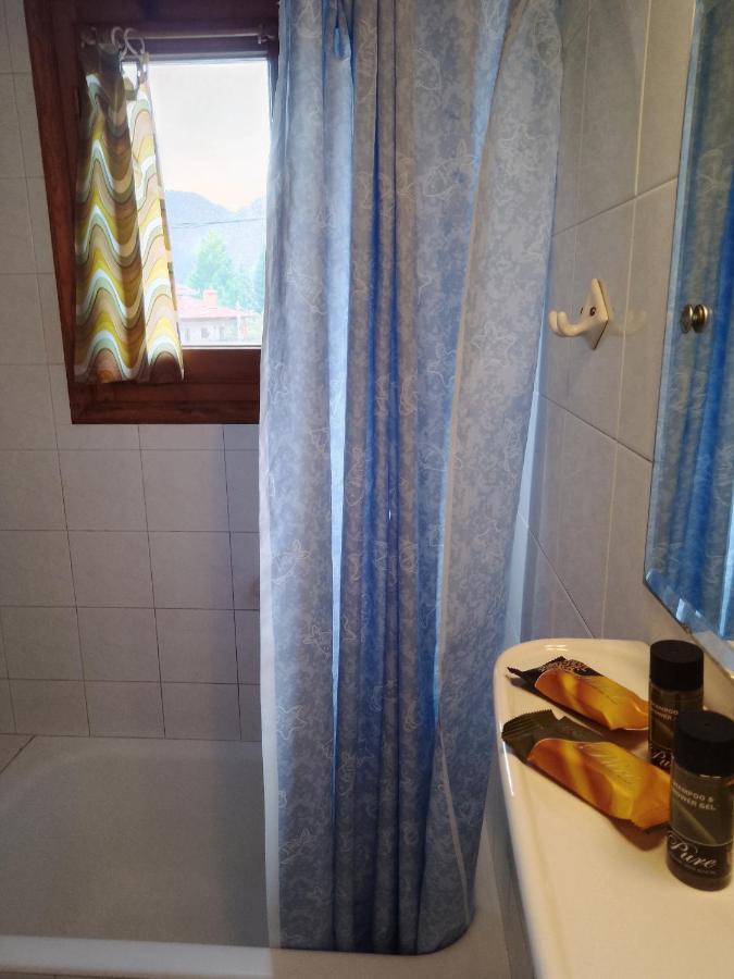 Arka Metsovo Hotell Exteriör bild