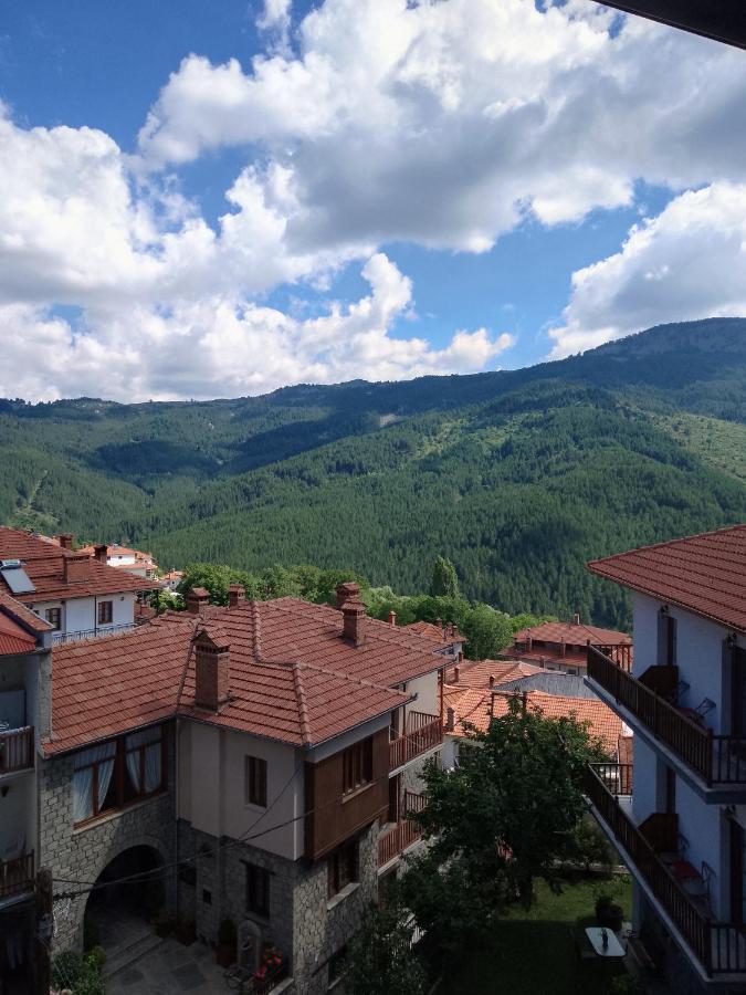 Arka Metsovo Hotell Exteriör bild