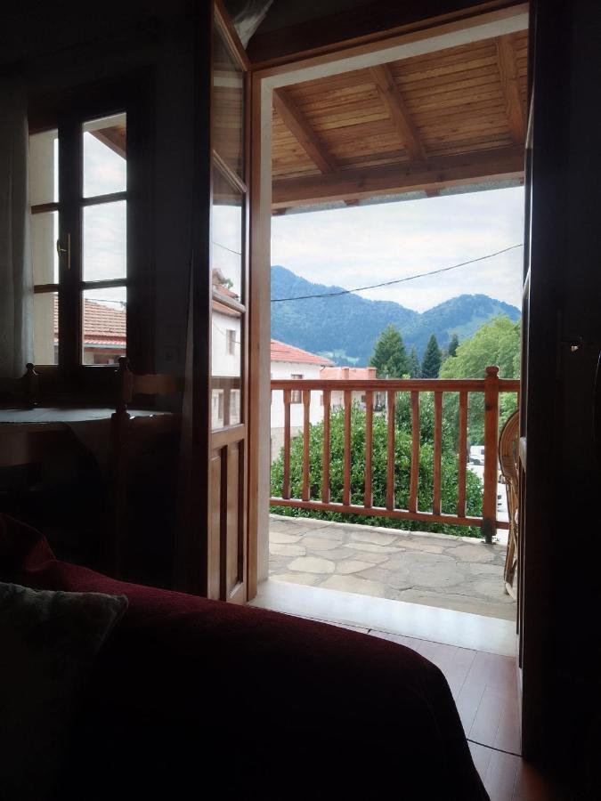 Arka Metsovo Hotell Exteriör bild