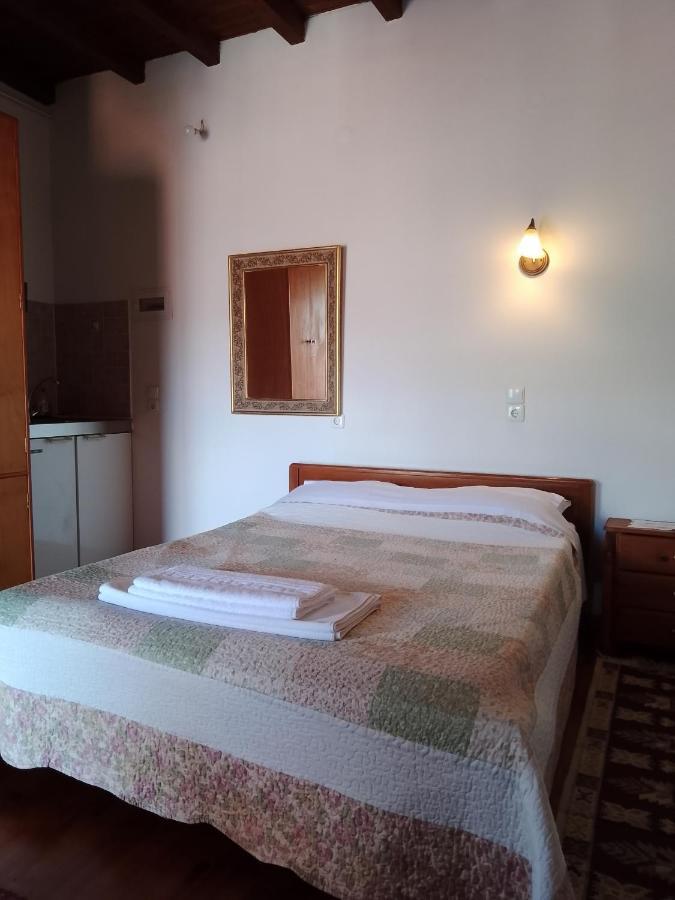 Arka Metsovo Hotell Exteriör bild