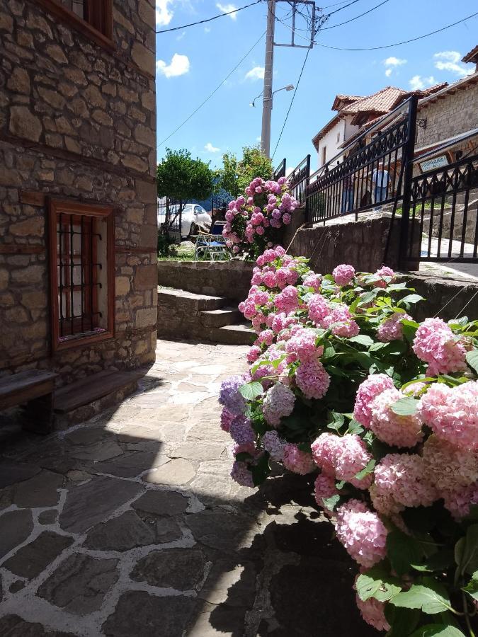 Arka Metsovo Hotell Exteriör bild