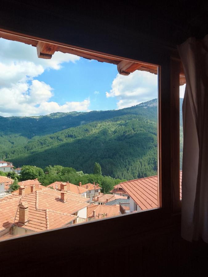 Arka Metsovo Hotell Exteriör bild