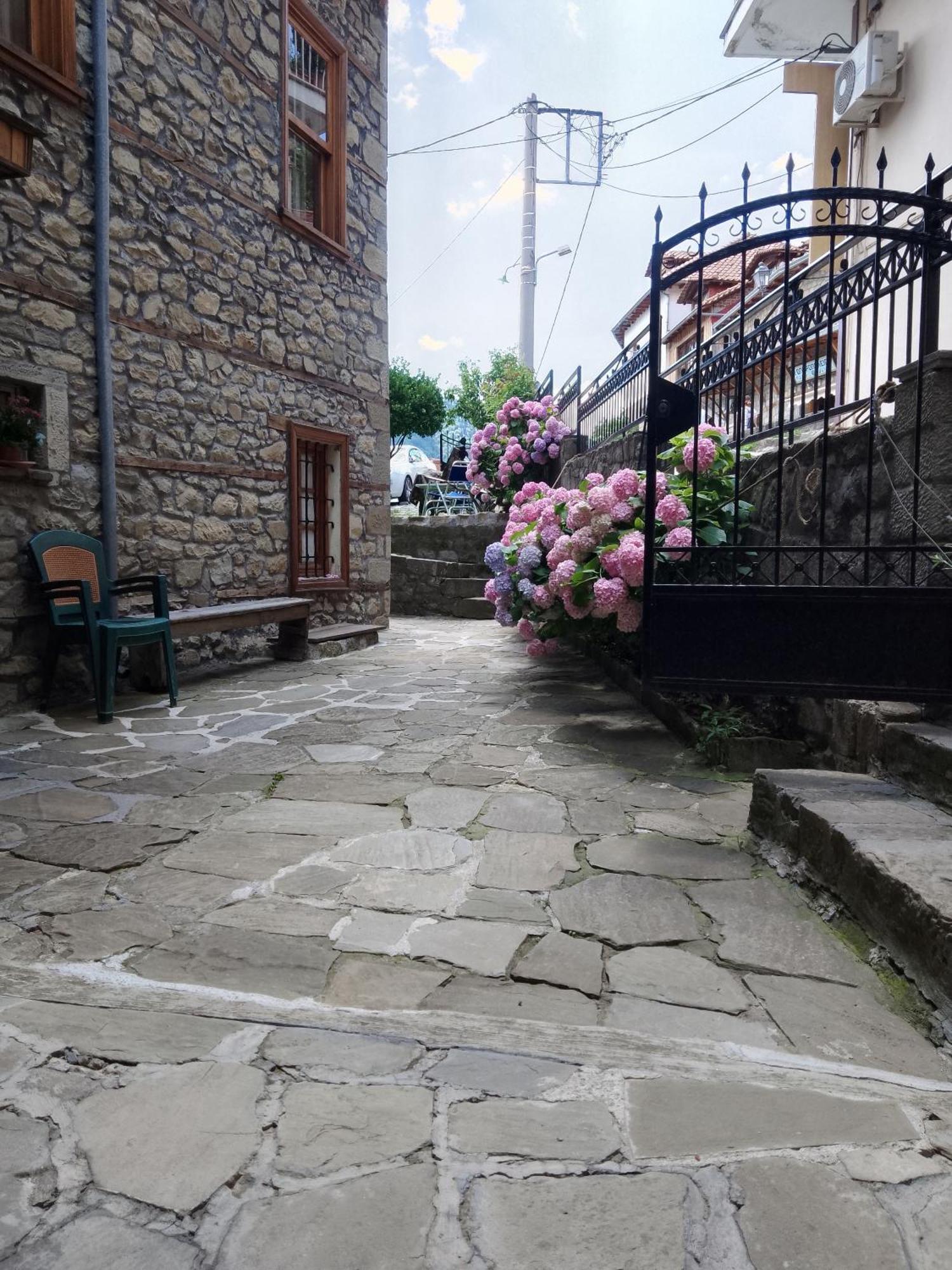 Arka Metsovo Hotell Exteriör bild