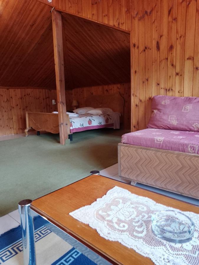 Arka Metsovo Hotell Exteriör bild